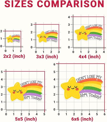 (3Pcs) Didn't Lose My Sh*t Today Sticker, Funny Star Bumper Sticker, Gold Star Stickers, Rainbow Vinyl Stickers, Inspirational Quote Decal - Sticker for Laptop Water Bottle Phone Hard Hat 3" in Saudi Arabia