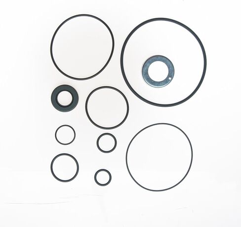 Power Steering Pump Seal Kit Compatible With Ford F-150 1978 1979 1980 1981 1982 1983 1984 1985 1986 1987 1988 1989 1990 1991 1992 1993 1994 1995 1996 PC-156814 in Saudi Arabia