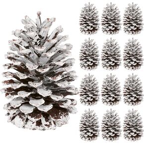 12 قطعة من مخاريط الصنوبر الكبيرة، 3.93-5.51 بوصة، مخاريط الصنوبر الطبيعية للحرف اليدوية لتزيين المنزل وزينة الكريسماس ومستلزمات الطاولة ومستلزمات عيد الميلاد in Kuwait