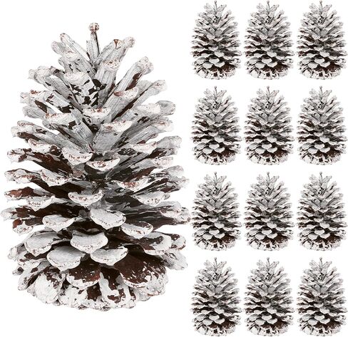 12 قطعة من مخاريط الصنوبر الكبيرة، 3.93-5.51 بوصة، مخاريط الصنوبر الطبيعية للحرف اليدوية لتزيين المنزل وزينة الكريسماس ومستلزمات الطاولة ومستلزمات عيد الميلاد in Kuwait
