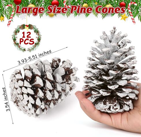 12 قطعة من مخاريط الصنوبر الكبيرة، 3.93-5.51 بوصة، مخاريط الصنوبر الطبيعية للحرف اليدوية لتزيين المنزل وزينة الكريسماس ومستلزمات الطاولة ومستلزمات عيد الميلاد in Kuwait