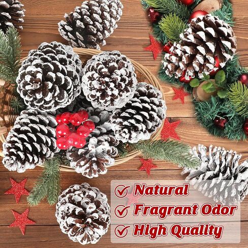 12 قطعة من مخاريط الصنوبر الكبيرة، 3.93-5.51 بوصة، مخاريط الصنوبر الطبيعية للحرف اليدوية لتزيين المنزل وزينة الكريسماس ومستلزمات الطاولة ومستلزمات عيد الميلاد in Kuwait