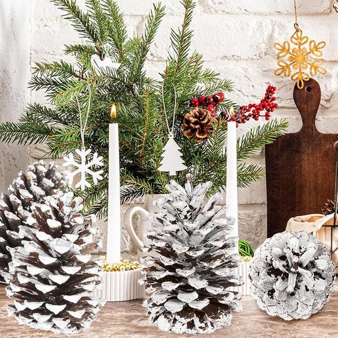 12 قطعة من مخاريط الصنوبر الكبيرة، 3.93-5.51 بوصة، مخاريط الصنوبر الطبيعية للحرف اليدوية لتزيين المنزل وزينة الكريسماس ومستلزمات الطاولة ومستلزمات عيد الميلاد in Kuwait