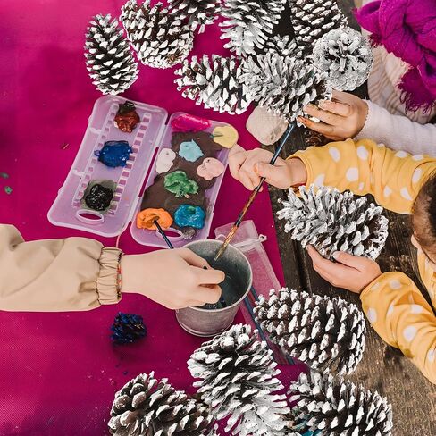 12 قطعة من مخاريط الصنوبر الكبيرة، 3.93-5.51 بوصة، مخاريط الصنوبر الطبيعية للحرف اليدوية لتزيين المنزل وزينة الكريسماس ومستلزمات الطاولة ومستلزمات عيد الميلاد in Kuwait