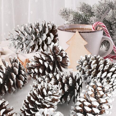 12 قطعة من مخاريط الصنوبر الكبيرة، 3.93-5.51 بوصة، مخاريط الصنوبر الطبيعية للحرف اليدوية لتزيين المنزل وزينة الكريسماس ومستلزمات الطاولة ومستلزمات عيد الميلاد in Kuwait