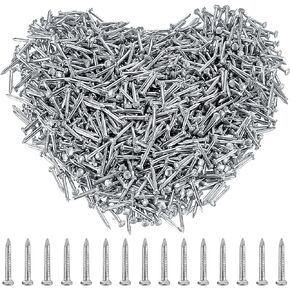 Zxglxinyao Nail Art Hardware, Approximately 3000 Pieces, Picture Nails, Single Sided Nails, Small Nails, Carpenter's Nails for Hanging Pictures, Flat Nails, 0.12 x 2/5 in (Silver)
