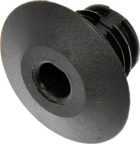 Dorman 963-034D GM Molding Retainer Black, 2 Pack in Saudi Arabia