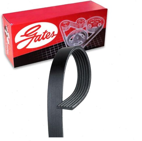 Gates AC Micro-V Serpentine Belt Compatible with Ford F-250 Super Duty 6.4L V8 2008-2010 in Saudi Arabia
