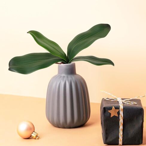 4 PCS Artificial Orchids Leaves, 8 Inch Faux Orchid Leaves Artificial Phalaenopsis Stems Leaf Real Touch Orchids Leaf Faux Cymbidium Flower Foliage Real Latex Touch Green Plant for Home Decor in Saudi Arabia