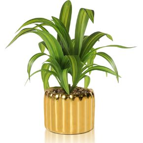 9" Artificial Dracaena Plant with Textured Leaves Golden Ceramic Pot Realistic Faux Greenery Fake Potted Plant Indoor Outdoor Home Decor for Living Room Office Garden Table Centerpiece in Kuwait