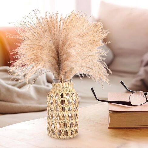 Cabilock Woven Rattan Vase for Flowers, Decorative Flower Arrangement Container, Boho Style Cane Glass Floral Vase Desktop Decor for Home, Desk, Dining Table, Living Room, S in Saudi Arabia