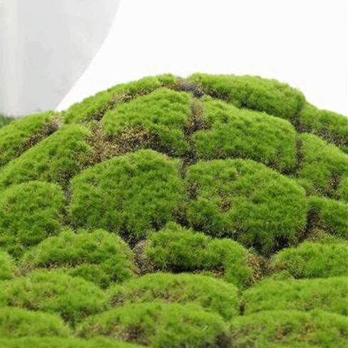 Artificial Moss Turf, 1x1m(3.2x3.2ft) DIY Simulation Artificial Moss for Patio, Balcony, Deck, Yard, Art Wall, Florist Decor in Saudi Arabia