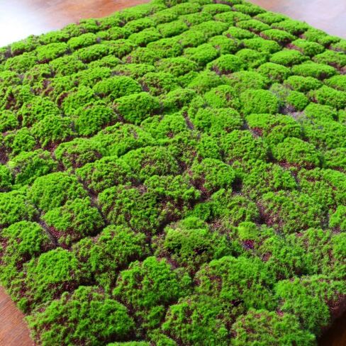 Artificial Moss Turf, 1x1m(3.2x3.2ft) DIY Simulation Artificial Moss for Patio, Balcony, Deck, Yard, Art Wall, Florist Decor in Saudi Arabia