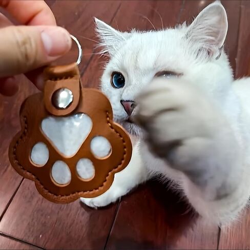 Pet Keychain - Clear Dog Paw Cat Paw Key Ring Holder - Personalized Memorial Gift for Dog Cat Lovers in Saudi Arabia