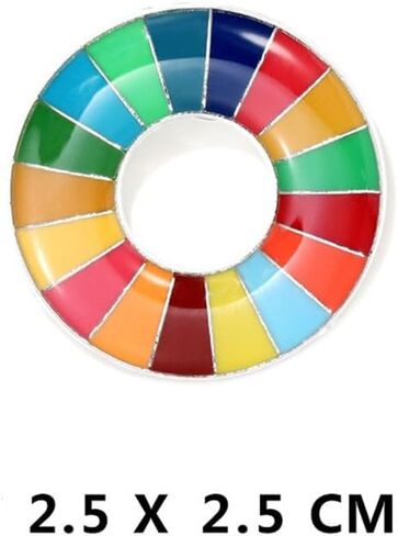 17-Color United Nations Sustainable Development Goals Brooch Rainbow Brooch Lapel Pin SDGs Enamel Lapel Pin Badge Colorful Circle Brooch Clothing Bag Accessories Jewelry Gift, Metal in Saudi Arabia