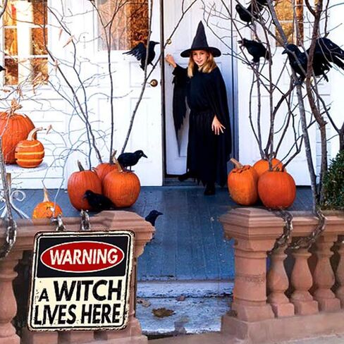Halloween Decor Beware Sign, Haunted House Warning Decor with Witch Silhouette - Scary Indoor Outdoor Decorations for Lawn, Wall, Garage, Pub - Holiday Party Props 12x12 Inch in Saudi Arabia