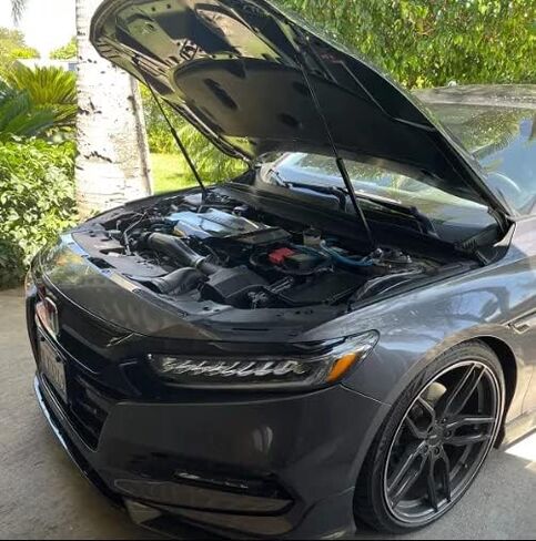 Lift Support Struts for Honda Accord 10th CV1 CV2 CV3 2018 2019 2020 2021 2022 2023 Modify Front Hood Bonnet Gas Spring Shocks Damper Carbon Fiber Prop Rod (Black Carbon Fiber) in Saudi Arabia