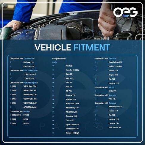 OEG Parts New Starter Compatible With 2006 BAJA MotorSPORTS 2005-2010 Dayang 2005-2007 Redcat Motors ATV STR125 WD90 WD90S WD90U, 30839C1029, 11612A9010, SCH0005, 41058006 in Saudi Arabia