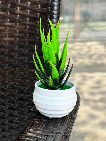 Mini Artificial Aloe Succulents Plants Pots Green Simple Fake Plants Home Garden Office Table Potted Decoration,Type B (13 * 11cm) in Saudi Arabia
