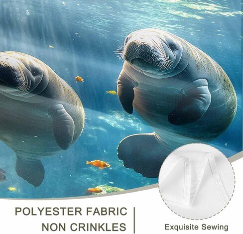Tapestry Wall Hanging Sea Lion Tapestries Aesthetic Fish Coral Tropical Marine Life Tapestry for Bedroom Living Room College Dorm Art Wall Decor Decorative Backdrop 50x60 Inch in Saudi Arabia