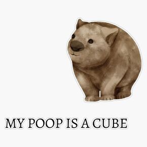 My Poop is A Cube Wombat Design Sticker Vinyl Waterproof Sticker Decal Car Laptop Wall Window Bumper Sticker 5" in Saudi Arabia