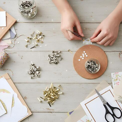 Ferraycle 500 Pitch Mini Brads Stables Brass Paper Paper Metal Round Round Brads لمشاريع DIY لمشاريع DIY (0.5 بوصة ، 0.7 بوصة ، 1 بوصة) in Kuwait