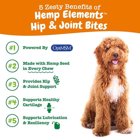لدغات حركية بلح البحر zesty paws للكلاب - بلح البحر الأخضر النيوزيلندي مع الجلوكوزامين والغسلانوتين الخلفيين + أوميغا -3 الأحماض الدهنية - مكملات دعم الورك والمفاصل - مضغ ناعم - 90 عددًا in Kuwait