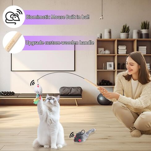 Soarer 4-in-1 Interactive Cat Feather Toys,12Pcs Durable Fishing Pole Cat Feather Toy Replacements,Enhanced Suction Cup Cat Wand Toy,2 Types Door Hanging Cat String Toy for Indoor Kitten Cats in Kuwait