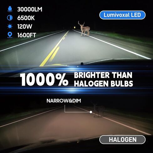 H11 Bulb, 1000% Brightness 6500K H8 H9 Bulbs 1:1 Mini Size,30000LM H16 Fog Bulb Plug and Play, 10Year Extended Lifespan, Pack of 2 in Saudi Arabia