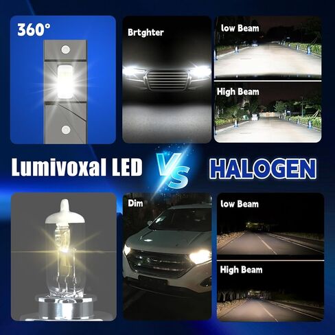 H11 Bulb, 1000% Brightness 6500K H8 H9 Bulbs 1:1 Mini Size,30000LM H16 Fog Bulb Plug and Play, 10Year Extended Lifespan, Pack of 2 in Saudi Arabia