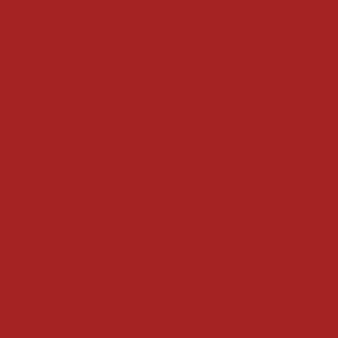 Automotive Paint for Ford J, Red, Rangoon Red, 11oz Aerosol in Saudi Arabia