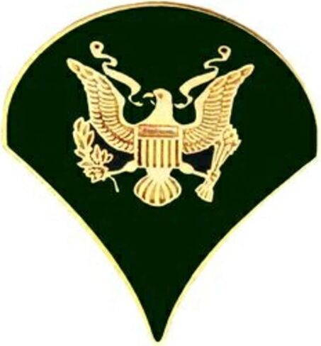 US Army Specialist 4 Lapel Pin or Hat Pin in Saudi Arabia