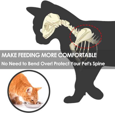 الأوعية الغذائية للسيفور المرتفعة ، مع حصيرة غير قابلة للانزلاق ، أوعية قطة مرتفعة للقطط الداخلية ، وأوعية طعام القطط الخزفية مع حامل ، وعباء Cat Bowl Whisker (Black+Pink) in Kuwait