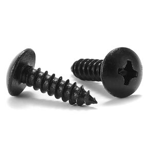 #8 x 3/8" Wood Screw 100Pcs Truss Head Phillips 18-8 (304) Stainless Steel Fast Self Tapping Screws Black Oxide by SG TZH
