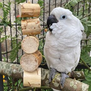 Wesco Pet Fiesta Bird Kabob Shreddable Parrot Toy