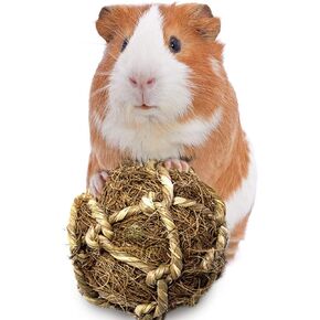 SunGrow Guinea Pig Coconut Fiber Balls, Improves Dental Health, Environment Friendly, Stress Reliever, Ideal for Chew Toy for Rabbits, Chinchilla & Kitten