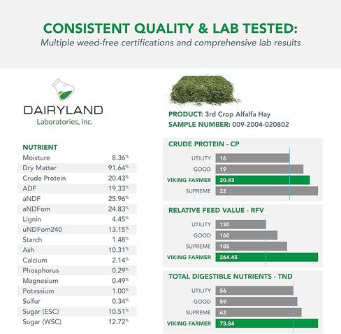 فايكنغ فارمر البرسيم القش للأرانب والحيوانات الأليفة الصغيرة، 5 رطل in Kuwait