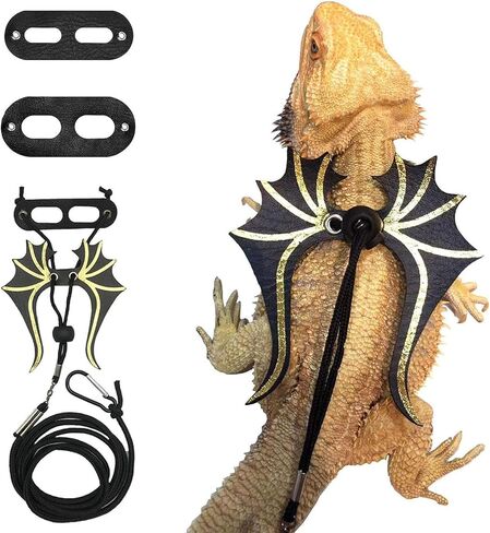 3 مقاود وأحزمة تنين ملتحية مقاس 3، مقود تنين ملتح مع أجنحة، سرج مقود سحلية التنين الملتحي، سرج مقود التنين الملتحي، سرج تنين ملتح وسحلية قابلة للتعديل in Kuwait