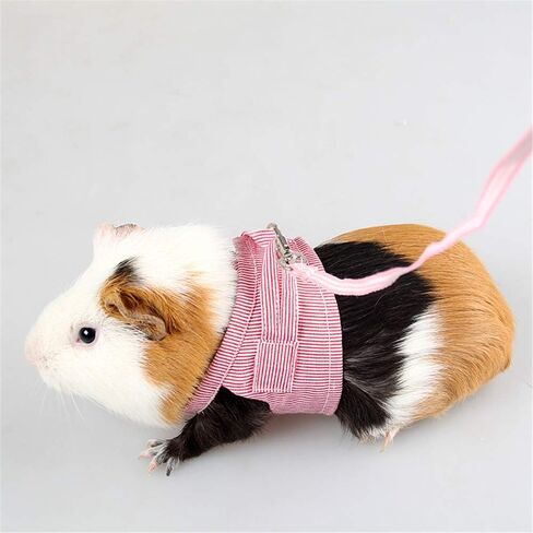Small Pet Guinea Pig Rabbit Harness and Leash Pink Stripe Chest Strap Vest for Animals Guinea Pig Chinchilla Rabbit Rat Squirrel Hedgehog Ferret Outdoor Walking Clothes Accessory in Saudi Arabia