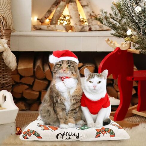 COPAW Pet Teepee، خيام الحيوانات الأليفة المحمولة مقاس 24 بوصة للكلاب الصغيرة أو القطط سرير دافئ لطيف، منازل داخلية للكلاب أو القطط قابلة للغسل مع وسادة هدايا عيد الميلاد للجرو in Kuwait