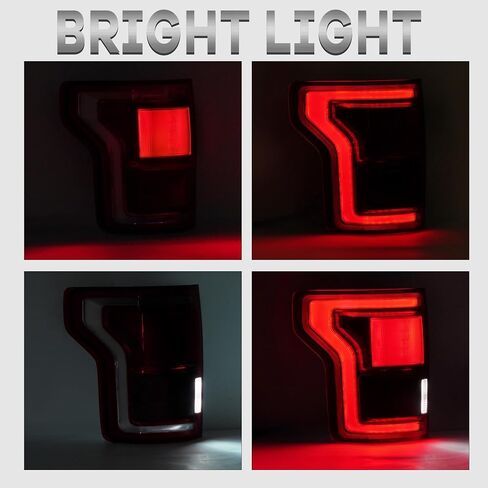 HECASA Right LED Tail Light Compatible with 2015-2017 Ford F-150 F150 Replacement for FO2801259 Rear Taillight Brake Lamp w/LED Tube Red Lens Passenger Side in Saudi Arabia
