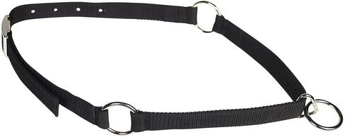 موستانج طوق الرقبة in Kuwait