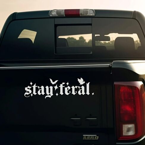 قطعتان من ملصقات ممتص الصدمات للسيارة Stay Feral - ملصقات سيارة على الطراز القوطي مع لمسات الخفافيش - ملصق السائق الغاضب مقاس 7.9 بوصة × 2.3 بوصة لنوافذ السيارة، ديكور فكاهي لغضب الدراجات النارية | #AZ14 (أبيض) in Kuwait