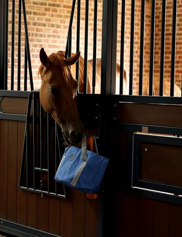 مجموعة هاريسون هوارد هورس للخيول كيت مجموعة فرشاة الخيول مع مجموعة فرشاة الحصان مع حقيبة منظم ناعم الأزرق in Kuwait