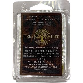 TwinFlames Chakra Wax Melt Collection – Beeswax Aromatherapy Melts with Archangel Energy, Sacred Oils & Scripture – 10 Spiritual Melts for Meditation, Alignment & Reiki (Solar Plexus Chakra) in Saudi Arabia