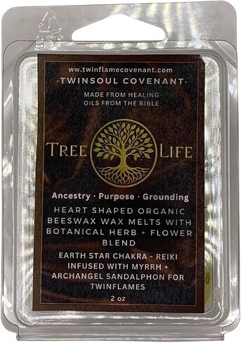 TwinFlames Chakra Wax Melt Collection – Beeswax Aromatherapy Melts with Archangel Energy, Sacred Oils & Scripture – 10 Spiritual Melts for Meditation, Alignment & Reiki (Solar Plexus Chakra) in Saudi Arabia
