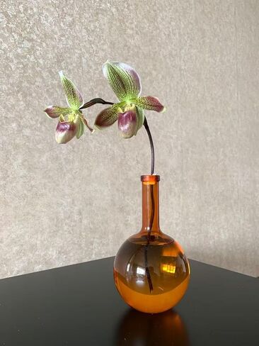 1 pc 8.6 Inches Tall Amber Glass Bulk Vase, Bottleneck Bulbous Bud vases, Vintage Glass Classic Vase for Flower, Living Room, Bedroom, Shelf, Wedding, Home Décor, Photoshoot Setup in Saudi Arabia