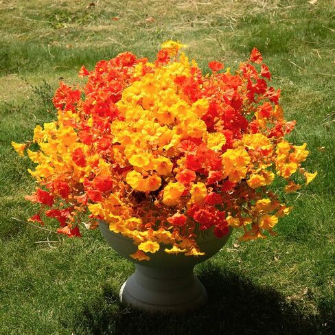 Artificial Flowers for Outdoors Spring Summer Decoration, 16 Bundles Fake Silk Realistic Morning Glory UV Resistant Faux Plastic Plants for Planter Front Door Porch Patio Yard (Fuchsia) in Saudi Arabia