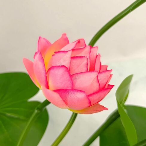 2pcs Artificial Lotus Flowers with Leaves 17" Pink Fake Water Lily Bouquets for Vase Bouquet Home Office Wedding Decor.(Pink,2pcs) in Saudi Arabia