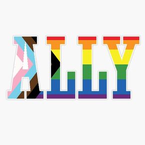 All Inclusive Ally Sticker Vinyl Waterproof Sticker Decal Car Laptop Wall Window Bumper Sticker 5" in Kuwait